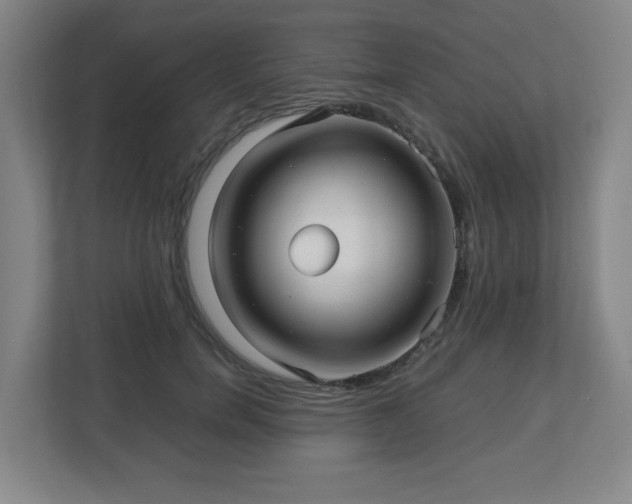 X0000113040750200909031311