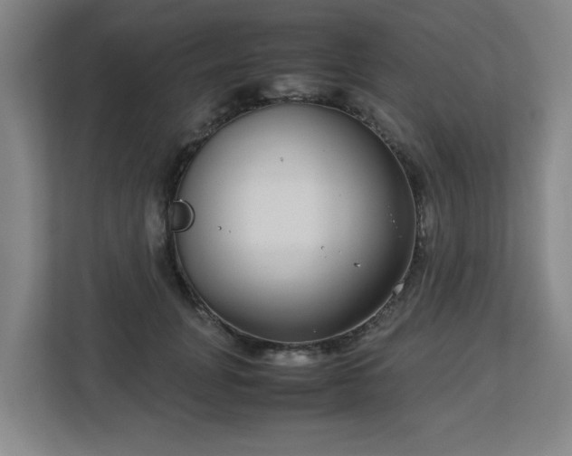 X0000113040751200909031311