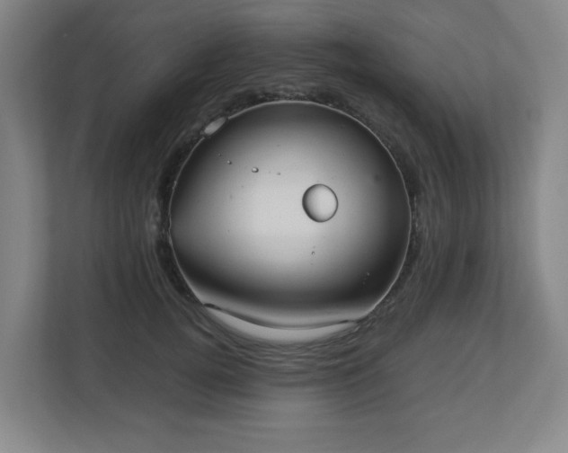 X0000113040752200909031311