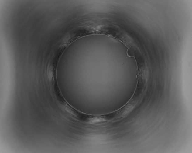 X0000113040754200909031311