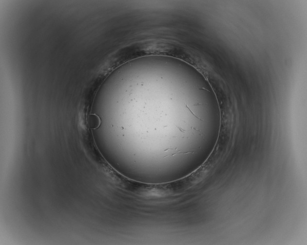 X0000113040755200909031311