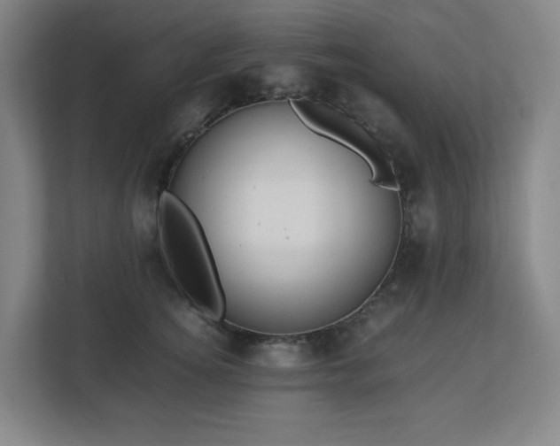 X0000113040756200909031311