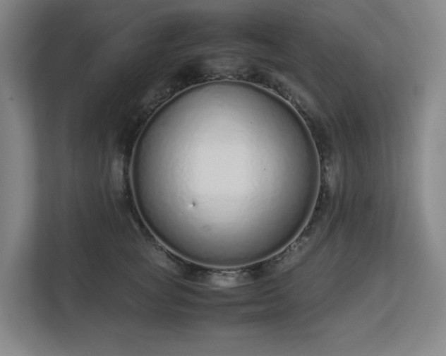 X0000113040757200909031311