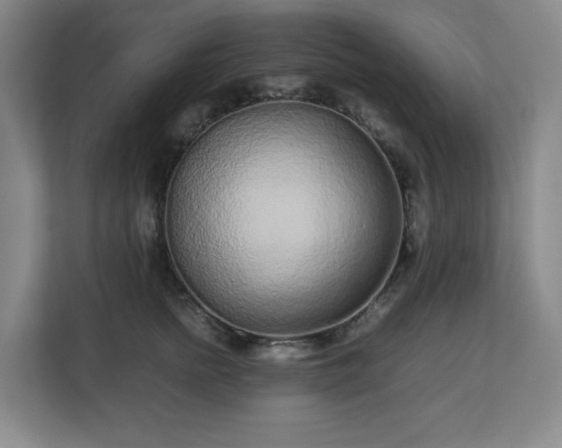 X0000113040758200909031311