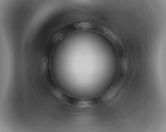 X0000113040760200909031312