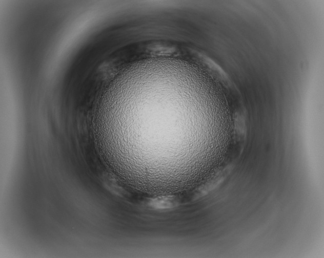 X0000113040761200909031312