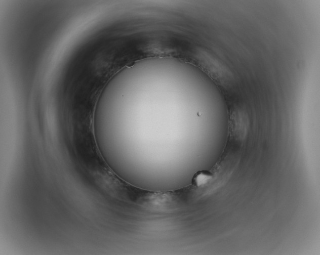 X0000113040762200909031312