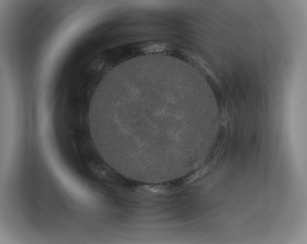 X0000113040763200909031312