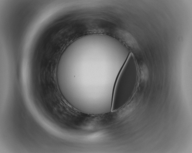 X0000113040764200909031312