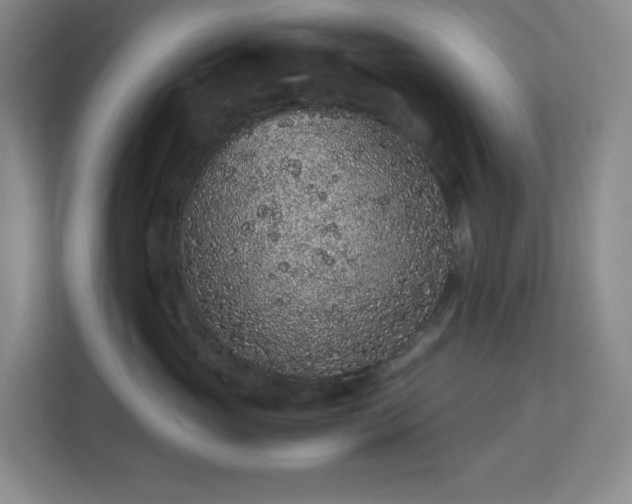 X0000113040765200909031312