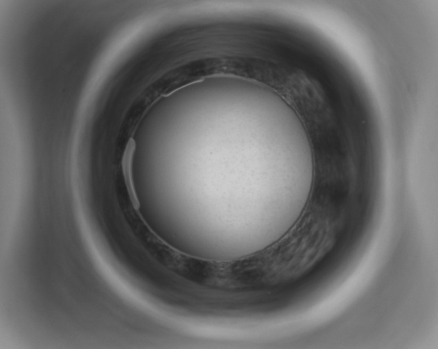 X0000113040766200909031312