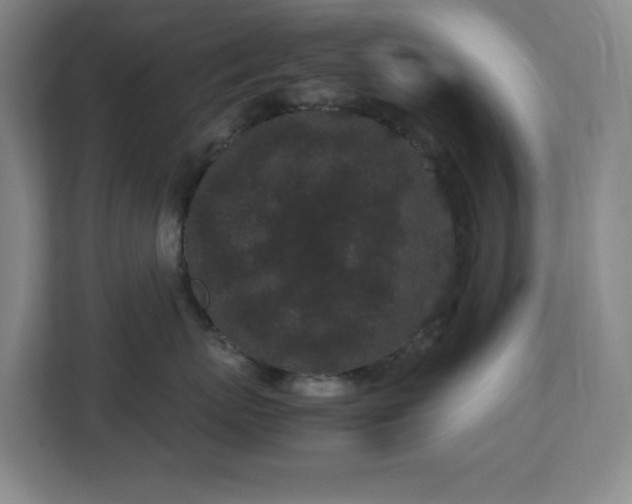 X0000113040767200909031312