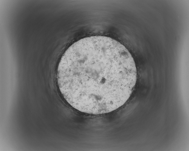 X0000113040769200909031311