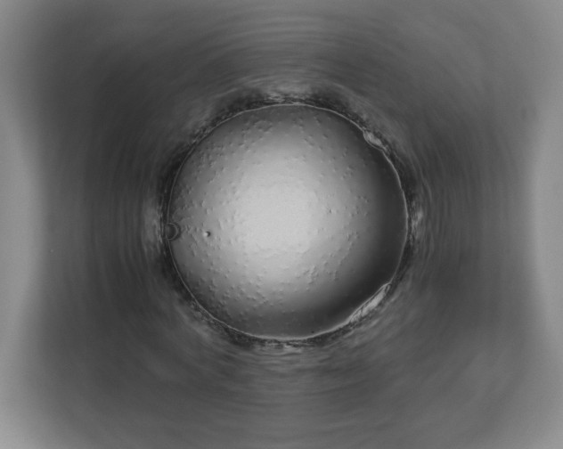 X0000113040772200909031311