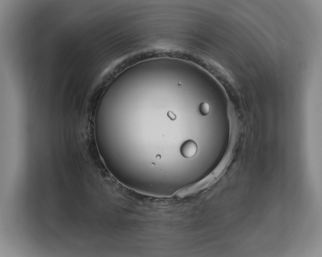 X0000113040776200909031311