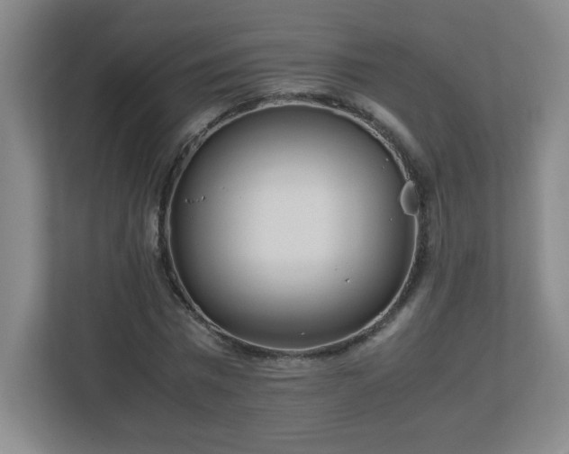 X0000113040777200909031311