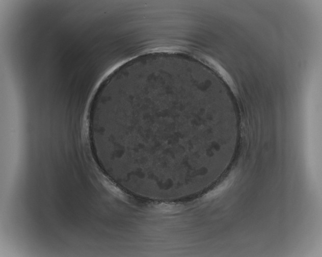 X0000113040779200909031311