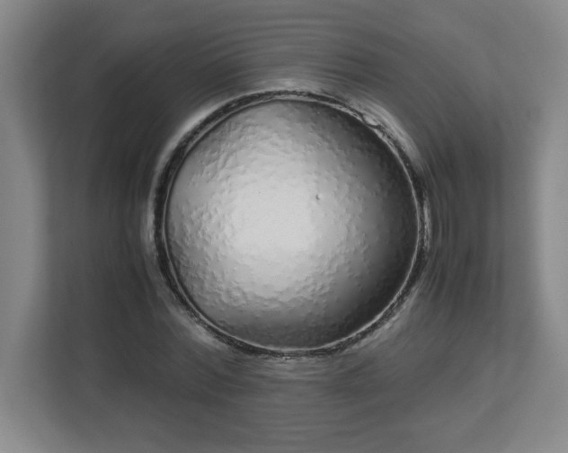 X0000113040780200909031311