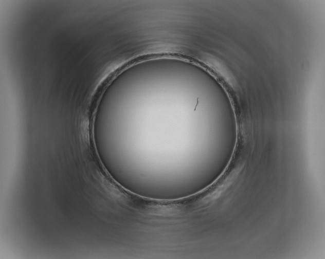 X0000113040781200909031311