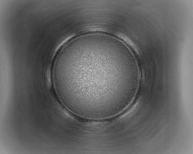 X0000113040782200909031311