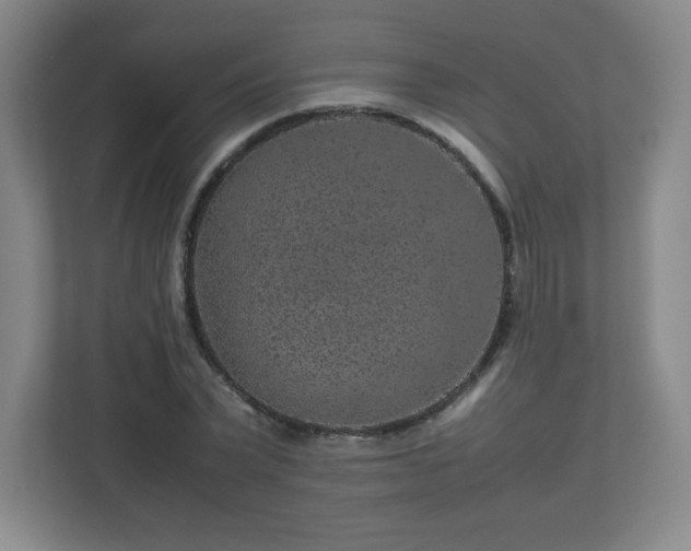 X0000113040783200909031311