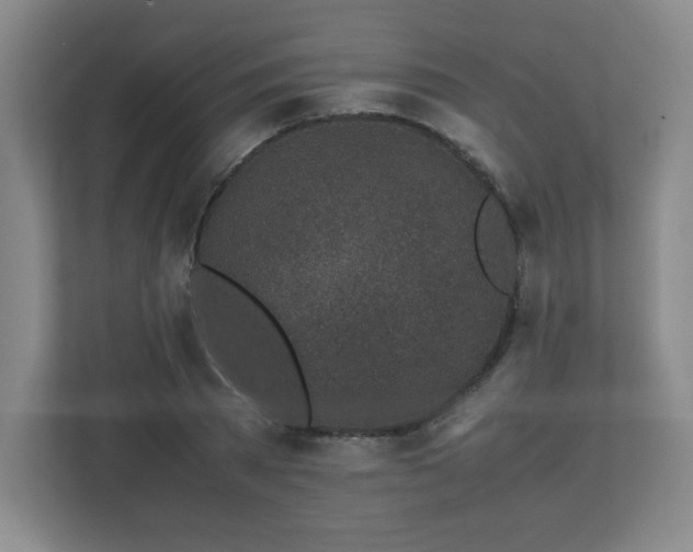 X0000113040785200909031311