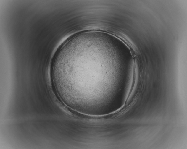 X0000113040788200909031311