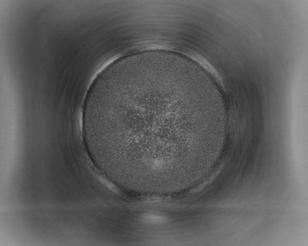 X0000113040790200909031311