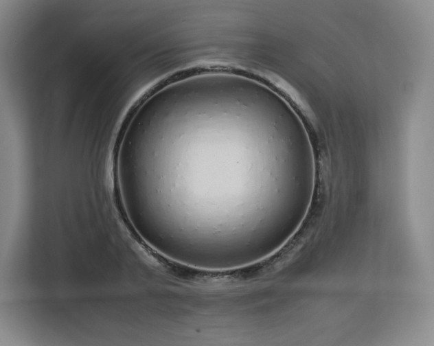 X0000113040791200909031311