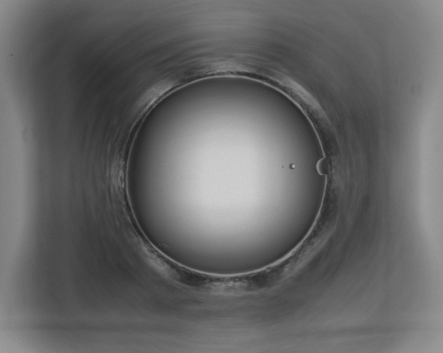 X0000113040793200909031311