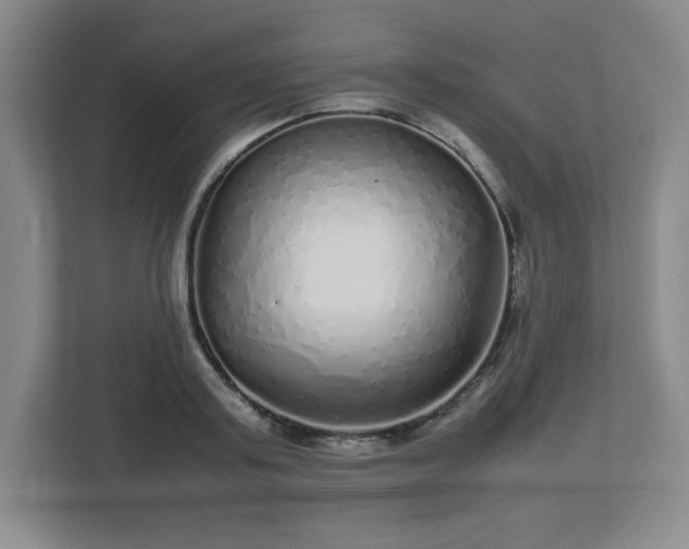 X0000113040795200909031311