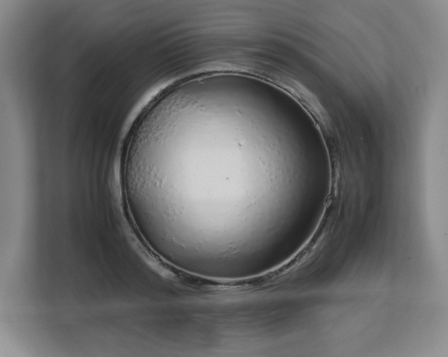 X0000113040796200909031311