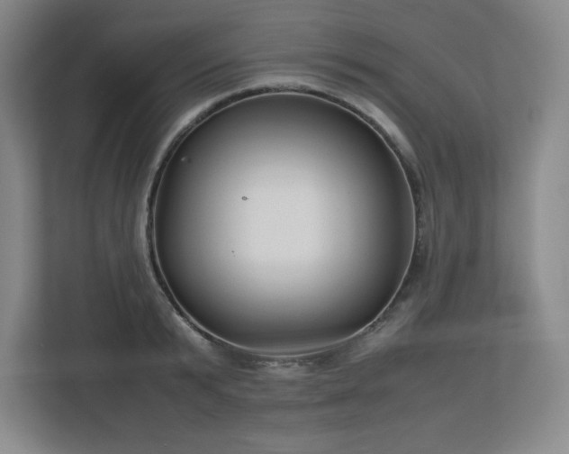 X0000113040799200909031311