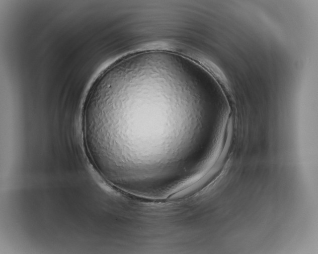 X0000113040800200909031311