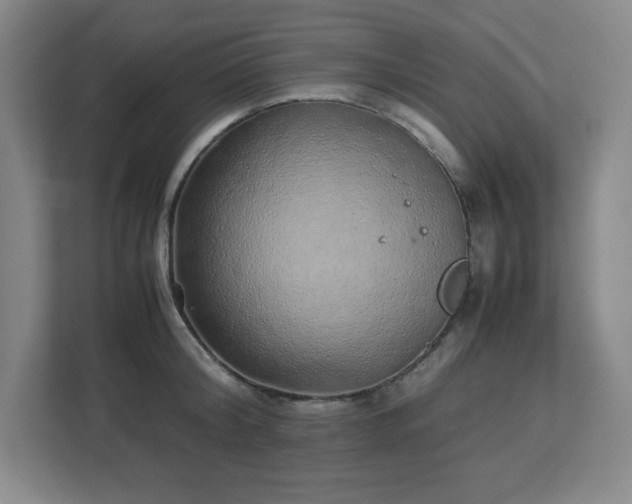 X0000113040804200909031311