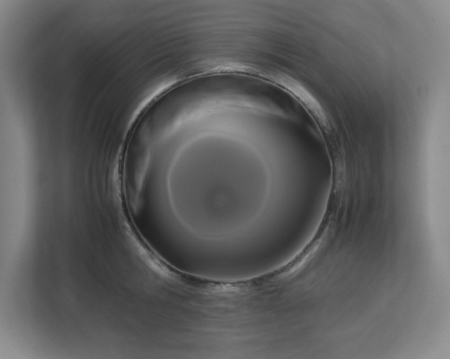 X0000113040806200909031311