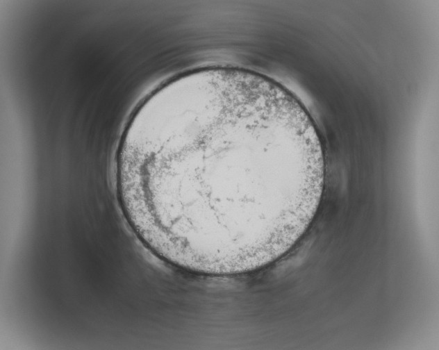 X0000113040807200909031311