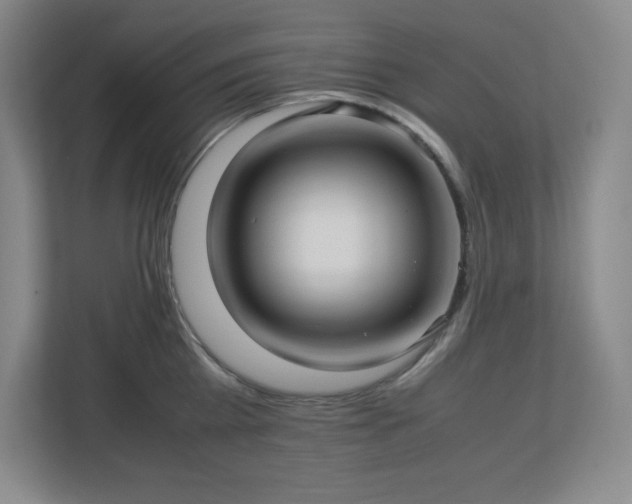 X0000113040809200909031310