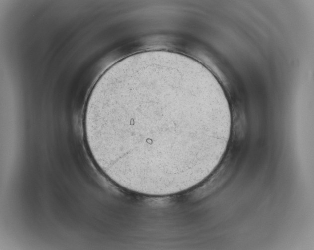 X0000113040810200909031310