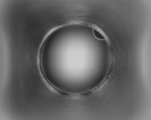 X0000113040811200909031310