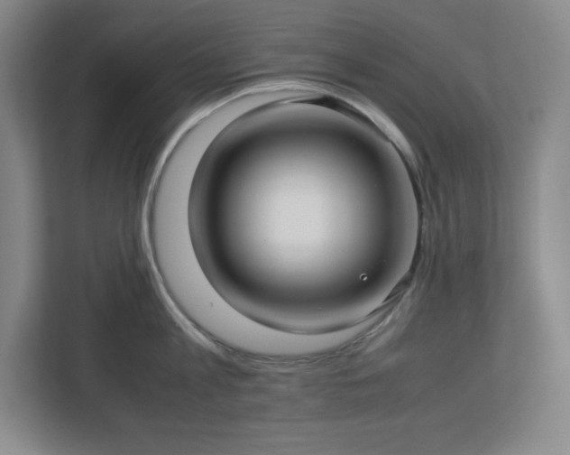 X0000113040813200909031310