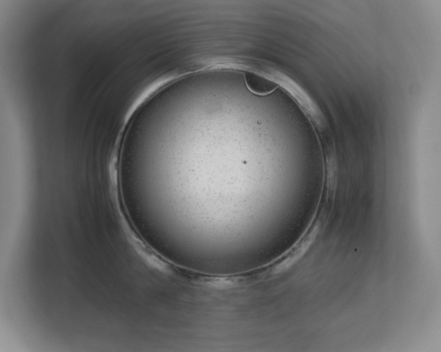 X0000113040814200909031310