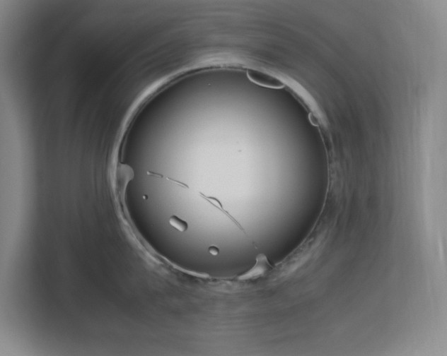 X0000113040815200909031310