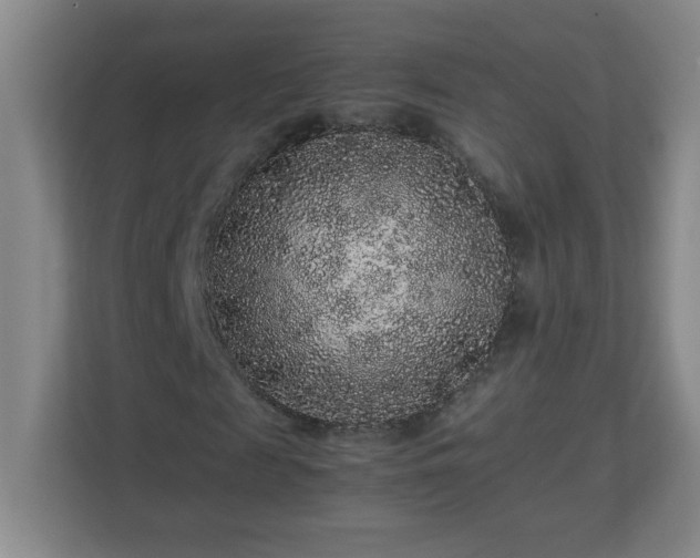 X0000113040817200909031310