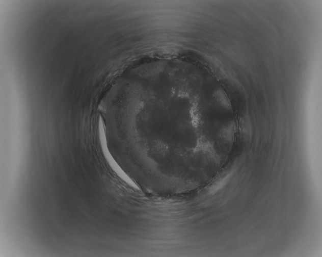 X0000113040818200909031310