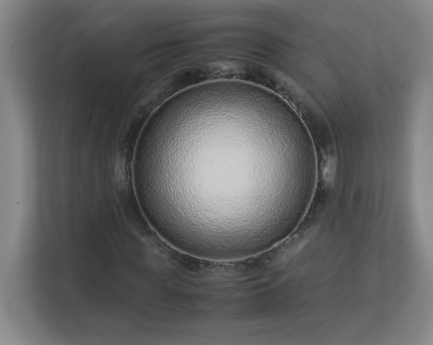 X0000113040819200909031310