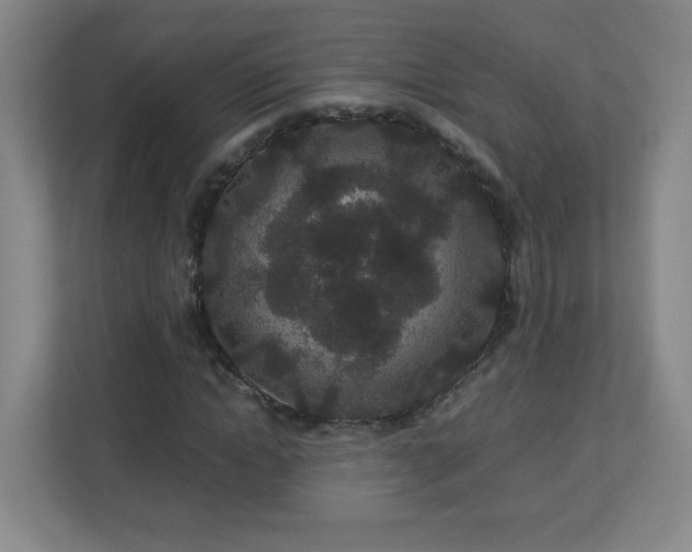 X0000113040822200909031310