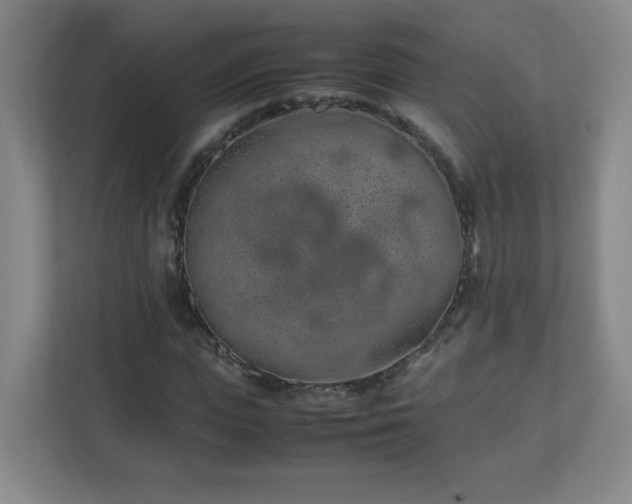 X0000113040823200909031310