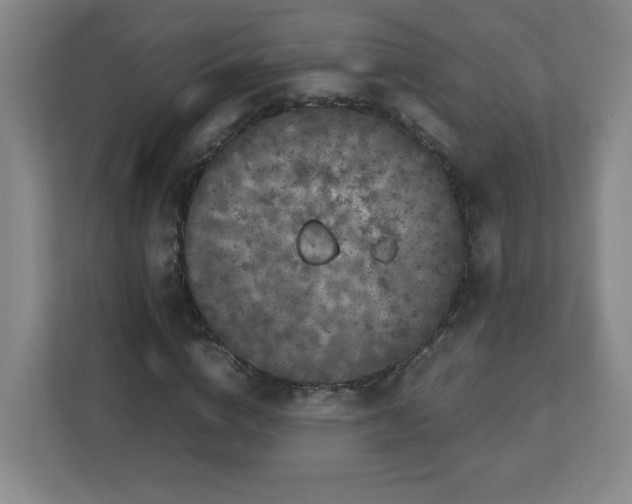 X0000113040824200909031310