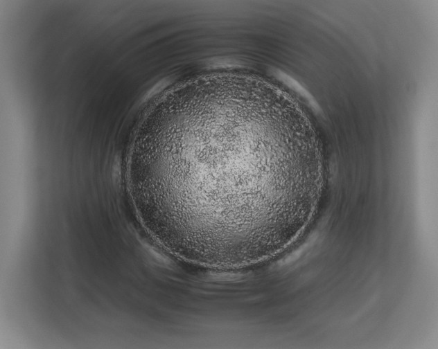 X0000113040825200909031310